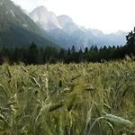 펜션 The Oldmillhouse *