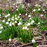 The Oldmillhouse 펜션