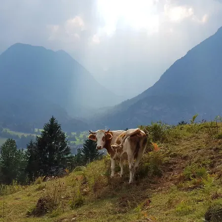 The Oldmillhouse Мойстрана