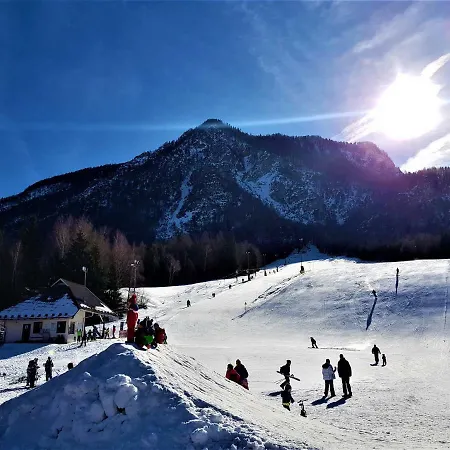 The Oldmillhouse Holiday home Mojstrana