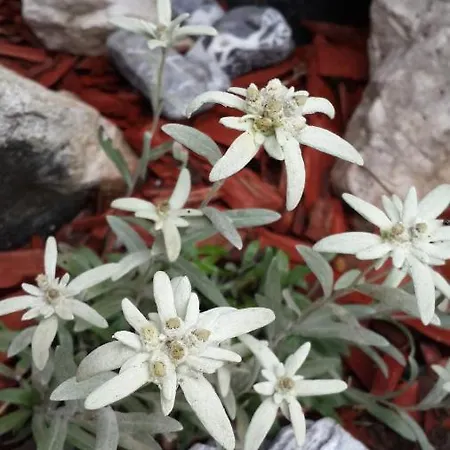 The Oldmillhouse Σπίτι διακοπών