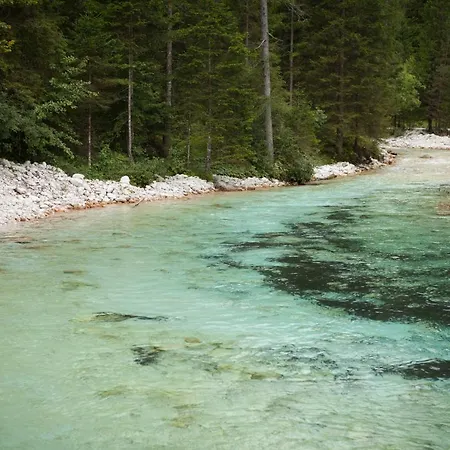 The Oldmillhouse Holiday home Mojstrana
