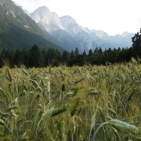 Дом отдыха The Oldmillhouse *