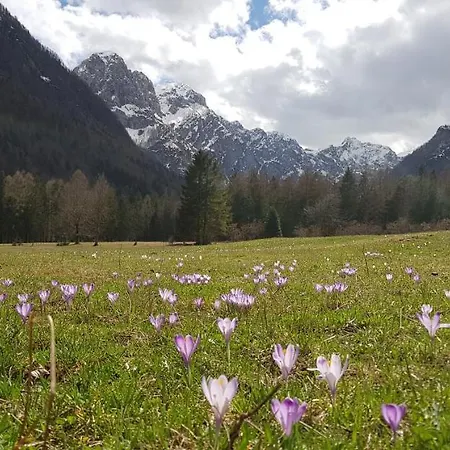 Holiday home The Oldmillhouse Mojstrana