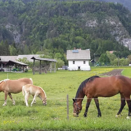 The Oldmillhouse * Mojstrana