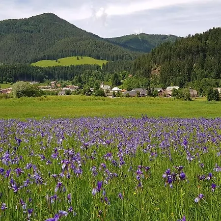 Дом отдыха The Oldmillhouse *