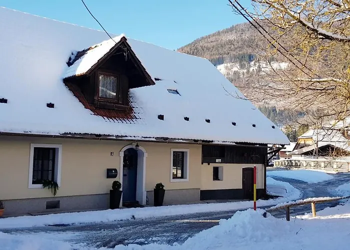 Tatil Evi The Oldmillhouse Mojstrana