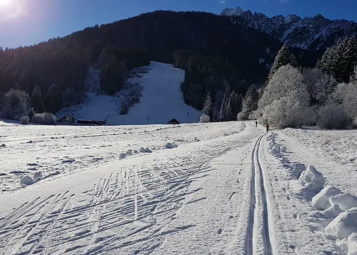 The Oldmillhouse Ferienhaus Mojstrana