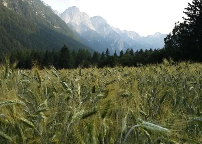 Ferienhaus The Oldmillhouse *