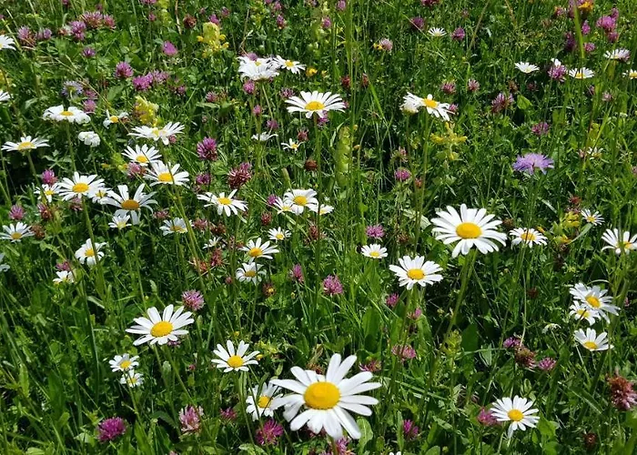 Ferienhaus The Oldmillhouse Mojstrana