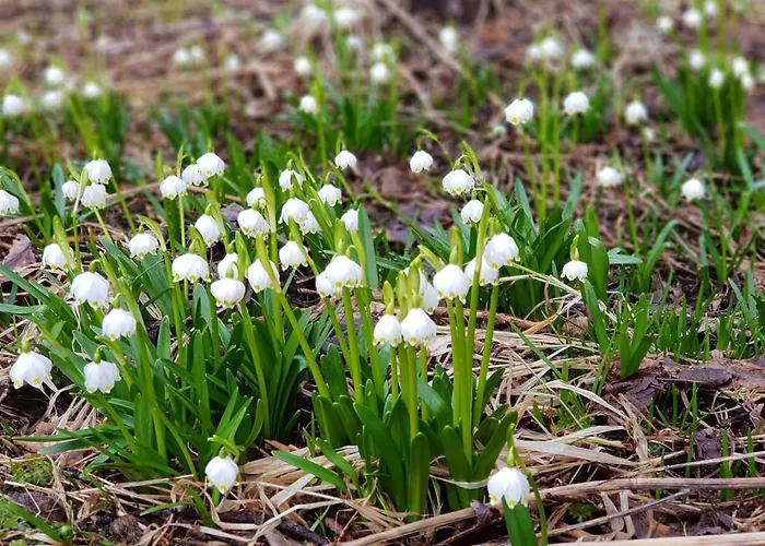 The Oldmillhouse Prázdninový dům