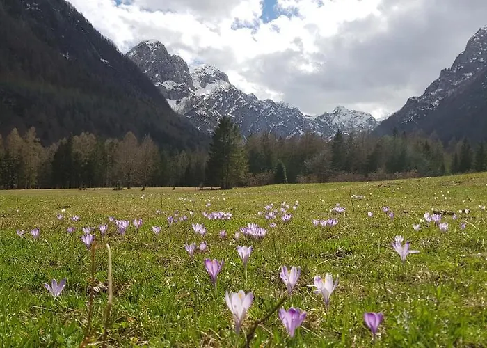 Prázdninový dům The Oldmillhouse Mojstrana