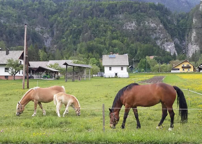 The Oldmillhouse * Mojstrana