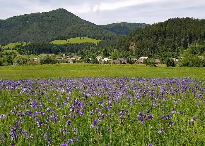 Prázdninový dům The Oldmillhouse *