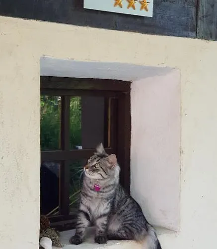 The Oldmillhouse Prázdninový dům